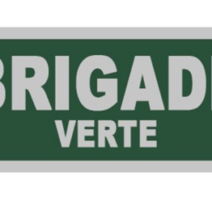 Flap brigade verte 280 x130 (LPSA)